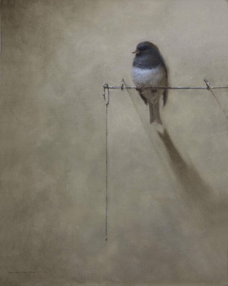 "Junco Untethered, Psalms 119:45" 11x14 oil on linen