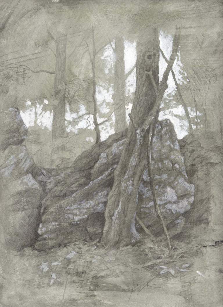 "Ontario Woods", 9x12 silverpoint on toned paper