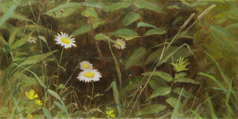 "Daisies, Song of Solomon 2:12" 8x16 oil on linen