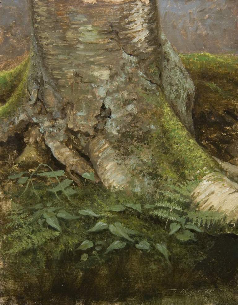 “Woodland Trunk“, 11x14, oil on linen