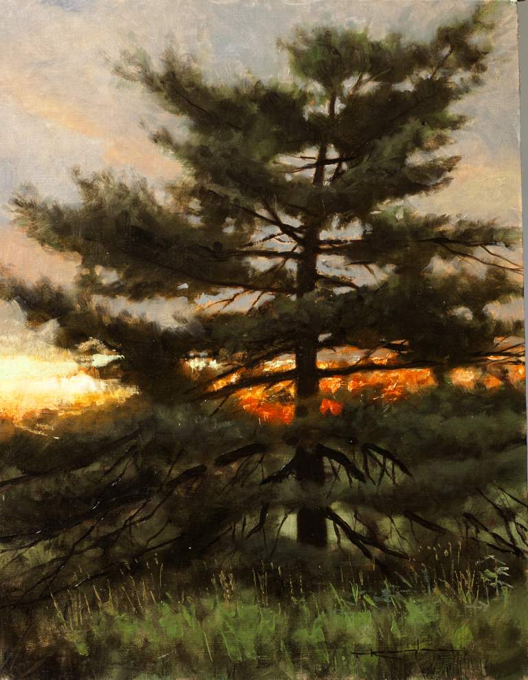"White Pine at Sunset" 11x14, Oil on Line