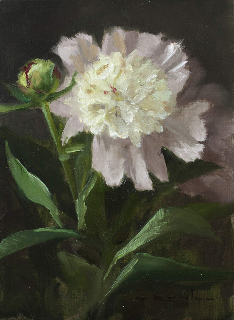 "Three Peonies #2: Proverbs 20:27" 5x7 oil on linen