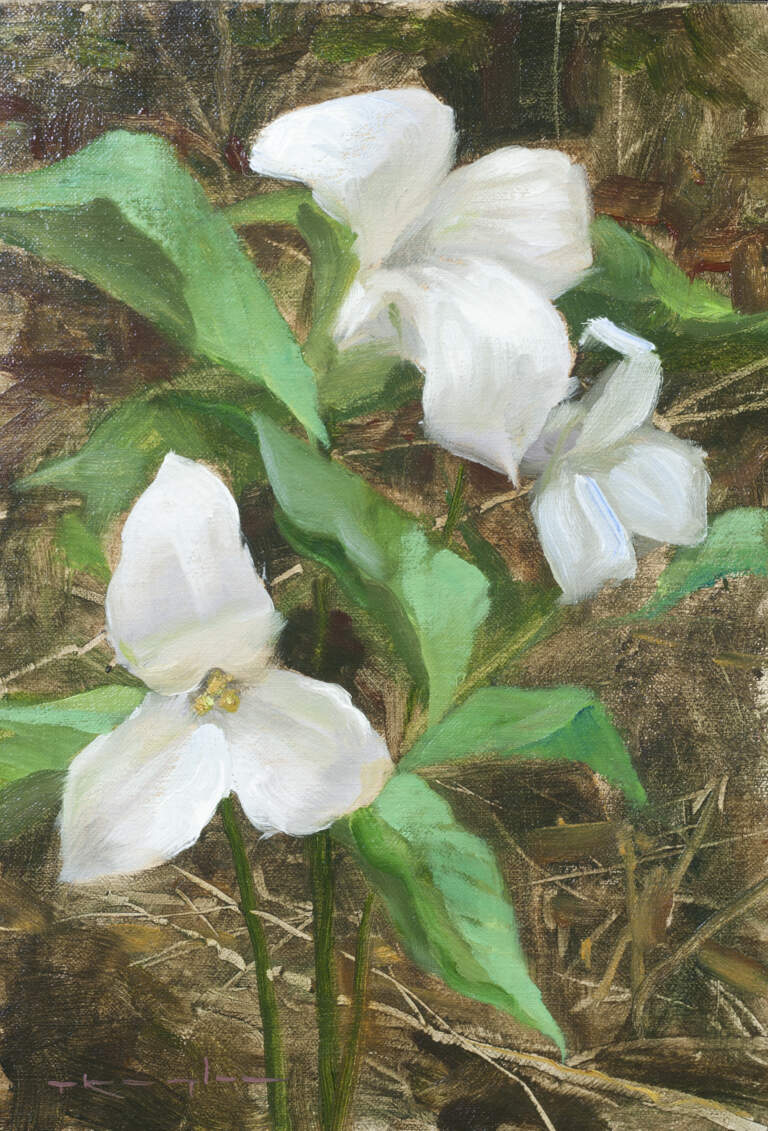 "Trillium" 6x9 oil on linen