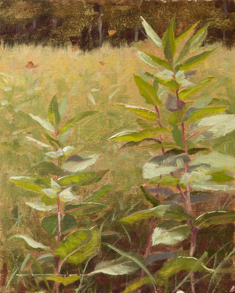 "Monarchs & Milkweed" 8x10, oil on linen