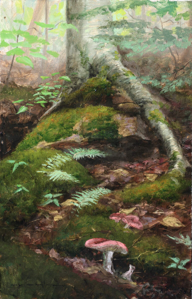 "Forest Floor - White Mountains" 9x14 oil on linen