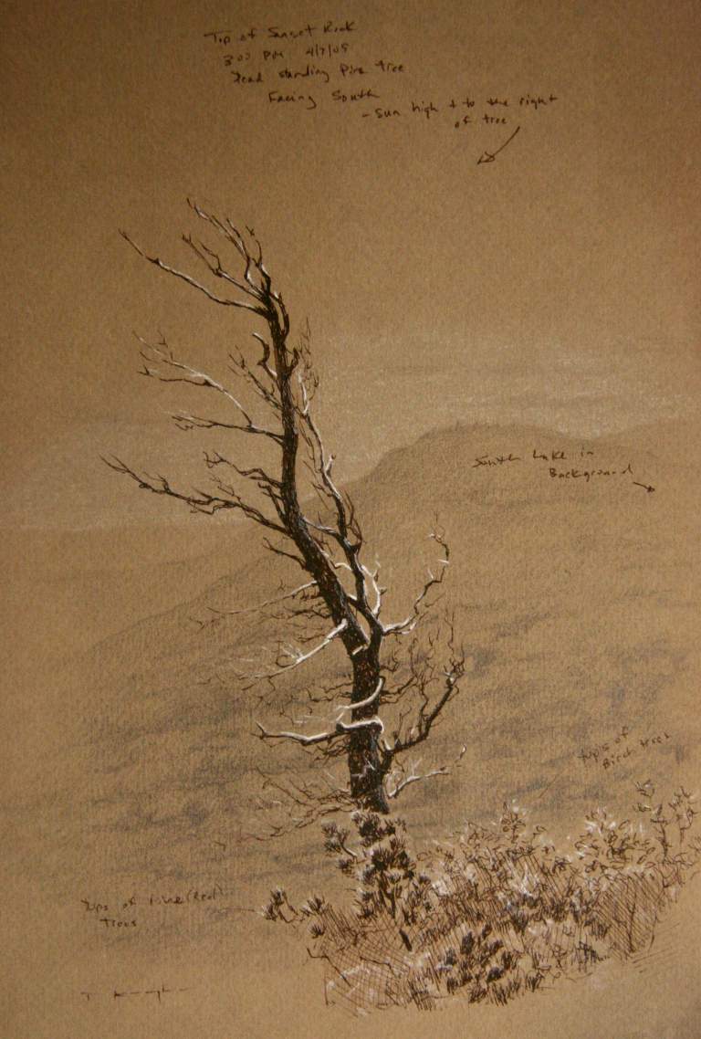 "Tree at Sunset Rock - Catskills", 9x12 ink & gouache on toned paper